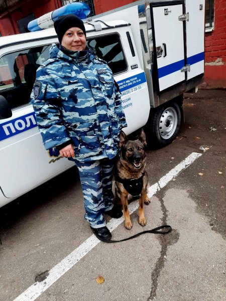 В Чапаевске кинолог со служебной собакой помогли оперативникам задержать подозреваемого в незаконном обороте наркотических веществ